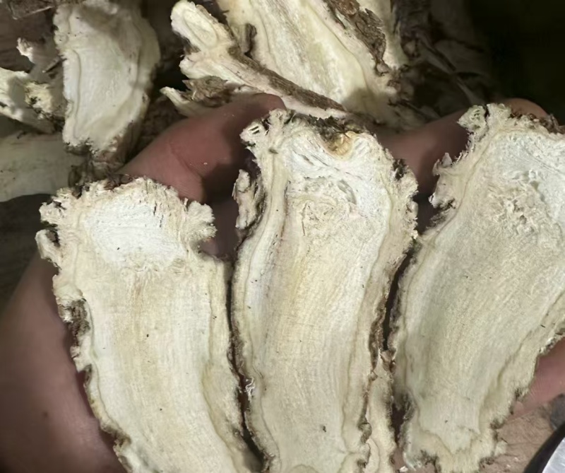 甘肃当归头芯片自家一手货源按需求分拣打包切片零售批发都可