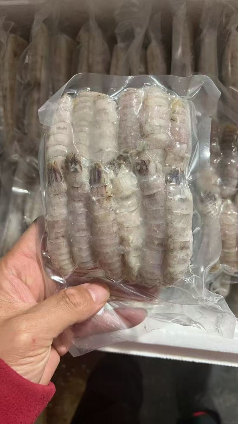 【精品】皮皮虾肉现货即发新鲜直达欢迎采购