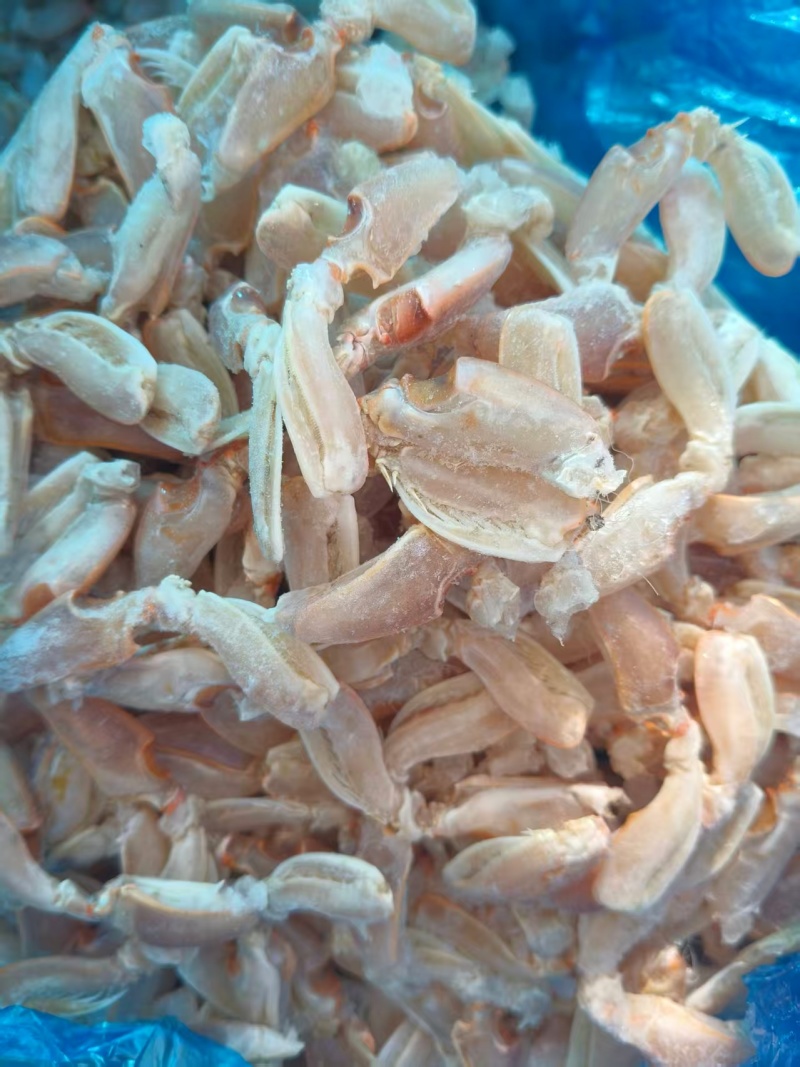 【精品】皮皮虾肉现货即发新鲜直达欢迎采购