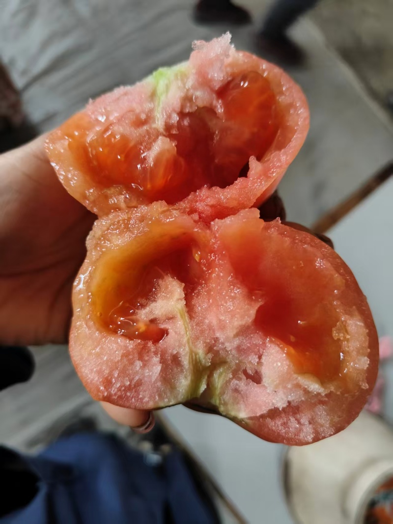 普罗旺斯西红柿，批发，量大可议价，欢迎联系