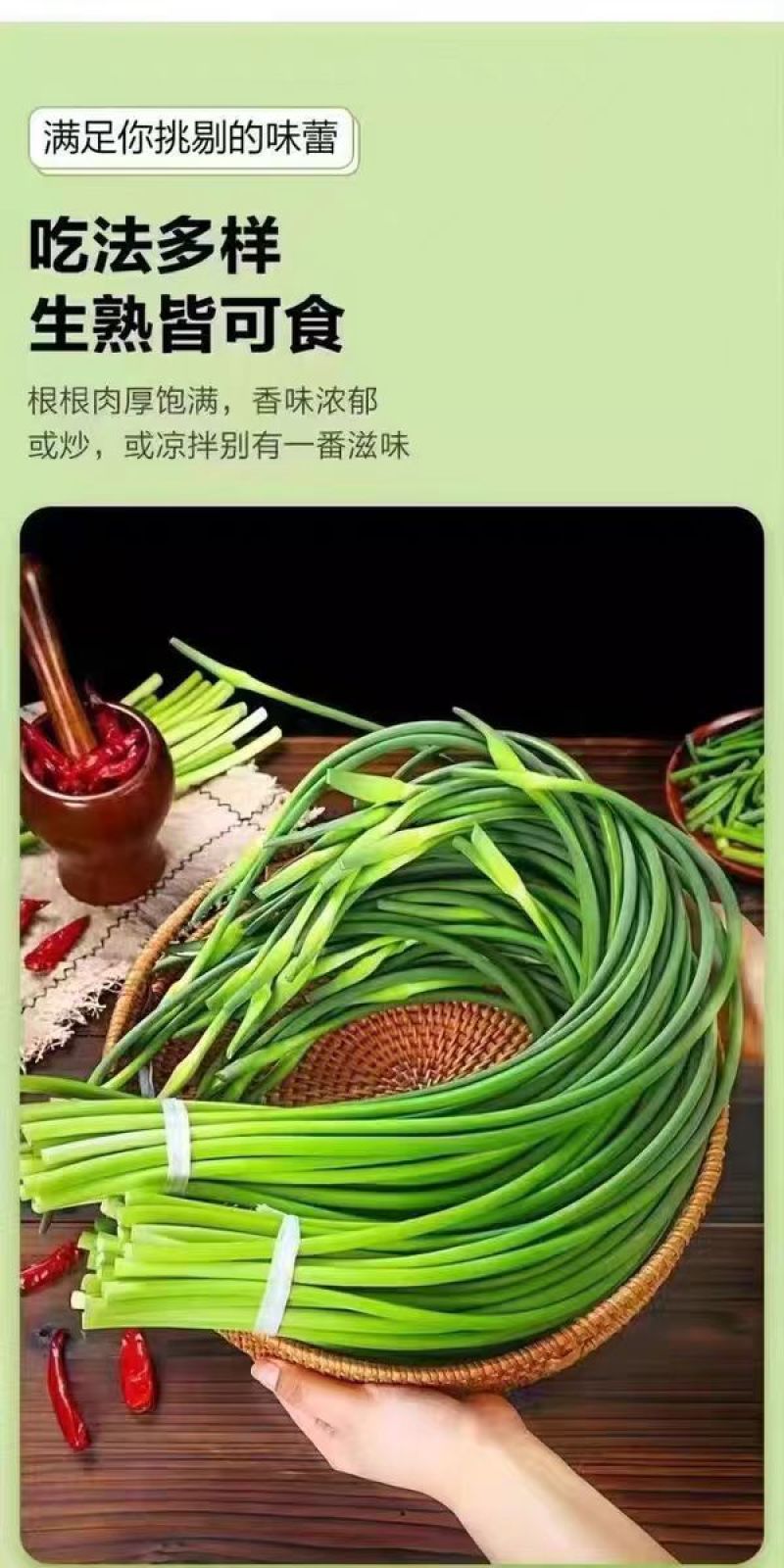 精品四川绵阳蒜苔新鲜上市，对接市场，档口，商超，量大从优