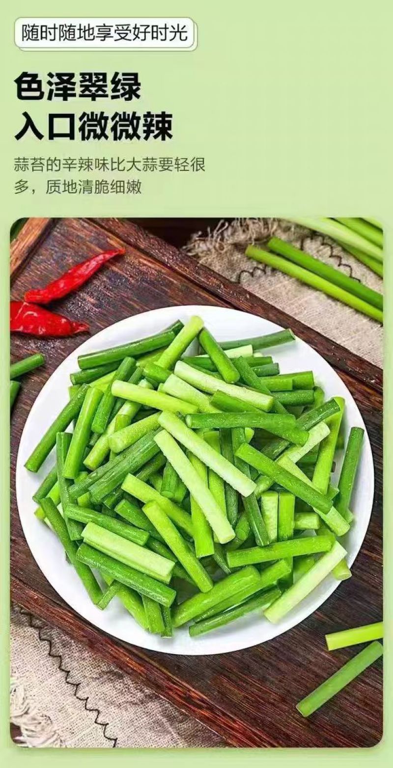 精品四川绵阳蒜苔新鲜上市，对接市场，档口，商超，量大从优