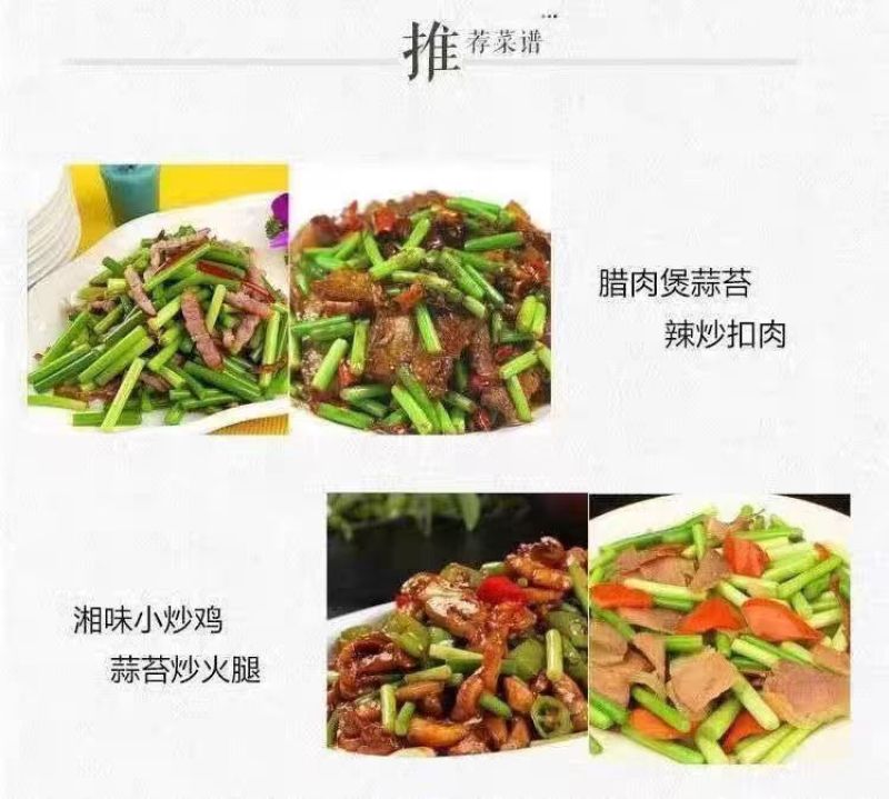 精品四川绵阳蒜苔新鲜上市，对接市场，档口，商超，量大从优