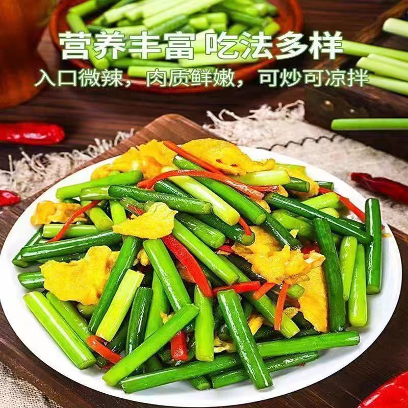 精品四川绵阳蒜苔新鲜上市，对接市场，档口，商超，量大从优