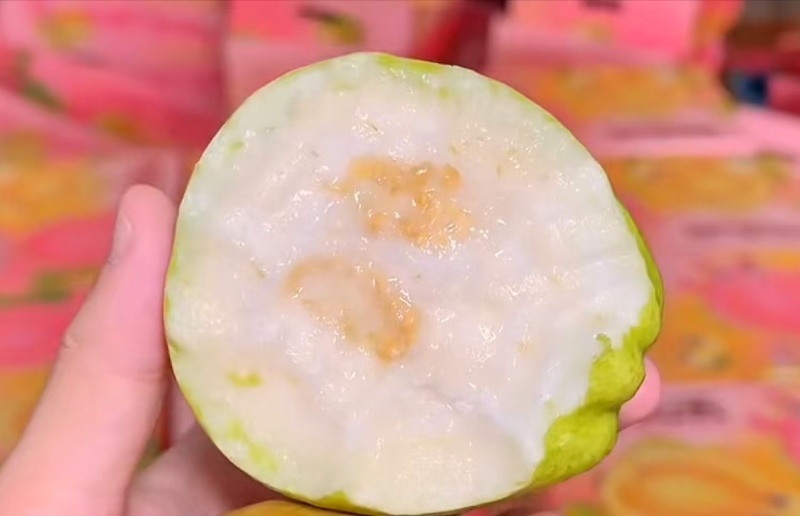 白心芭乐/量大从优/产地直供/欢迎前来选购/保质保量