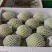 白心芭乐/量大从优/产地直供/欢迎前来选购/保质保量