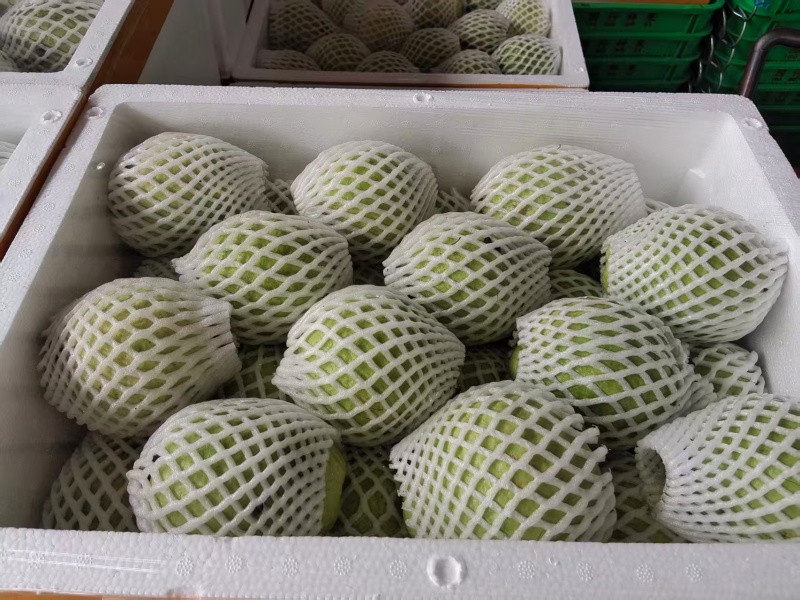 白心芭乐/量大从优/产地直供/欢迎前来选购/保质保量