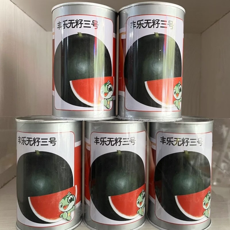 丰乐无籽西瓜种子杂交中晚熟无籽杂交种果肉大红色黑皮红瓤
