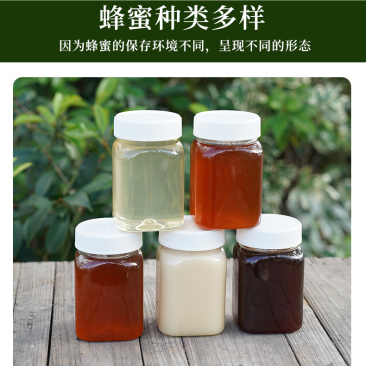 蜂蜜纯正天土蜂蜜批发百花蜂蜜桶装原料1kg-75kg批发