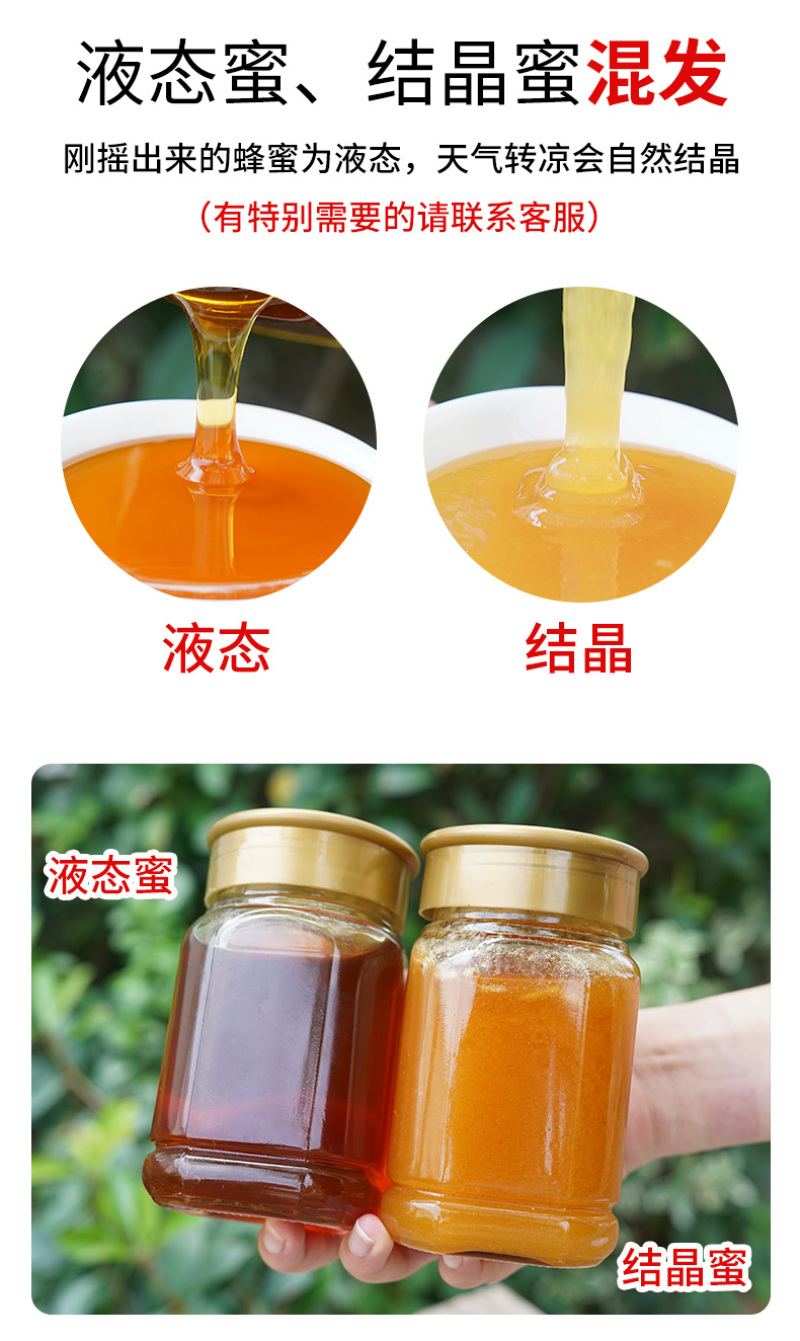 蜂蜜纯正天土蜂蜜批发百花蜂蜜桶装原料1kg-75kg批发