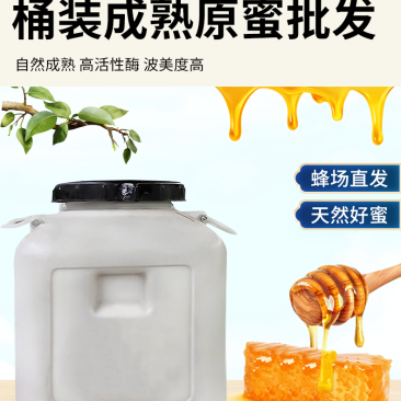 蜂蜜农家自产百花蜂蜜桶装成熟百花蜜食品药品厂用
