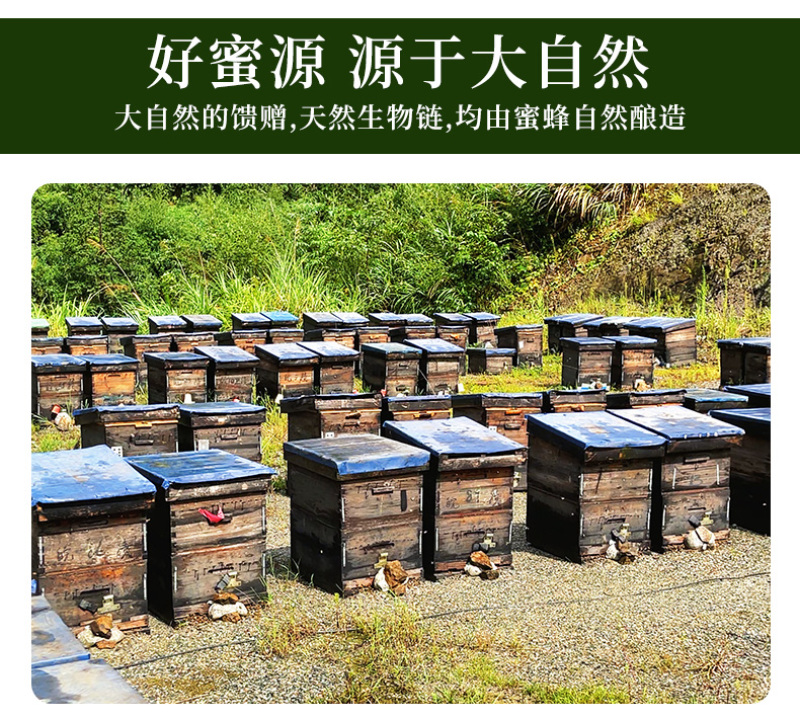 蜂蜜农家自产百花蜂蜜桶装成熟百花蜜食品药品厂用