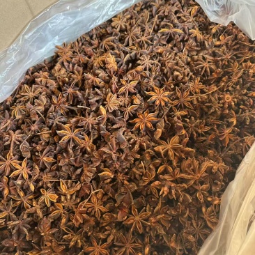 大红八角老货大红大货价15/斤新货大红八角大货价18/斤