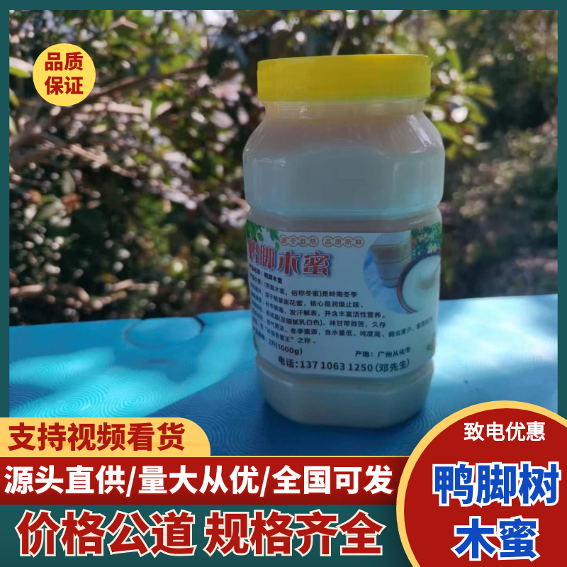 鸭脚树木蜜大量上市，对接档市场，商超，价格美丽，欢迎咨询