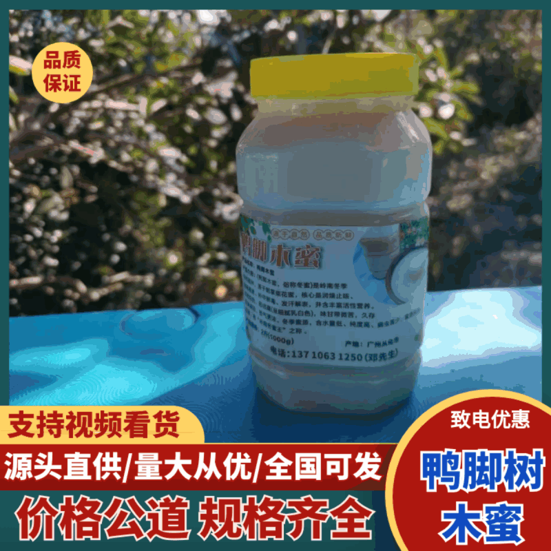 鸭脚树木蜜大量上市，对接档市场，商超，价格美丽，欢迎咨询