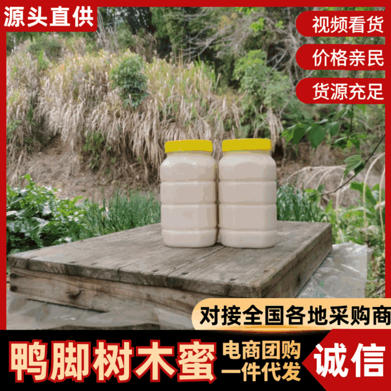 鸭脚树木蜜，对接市场，档口，电商，农家自产自销，量大从优