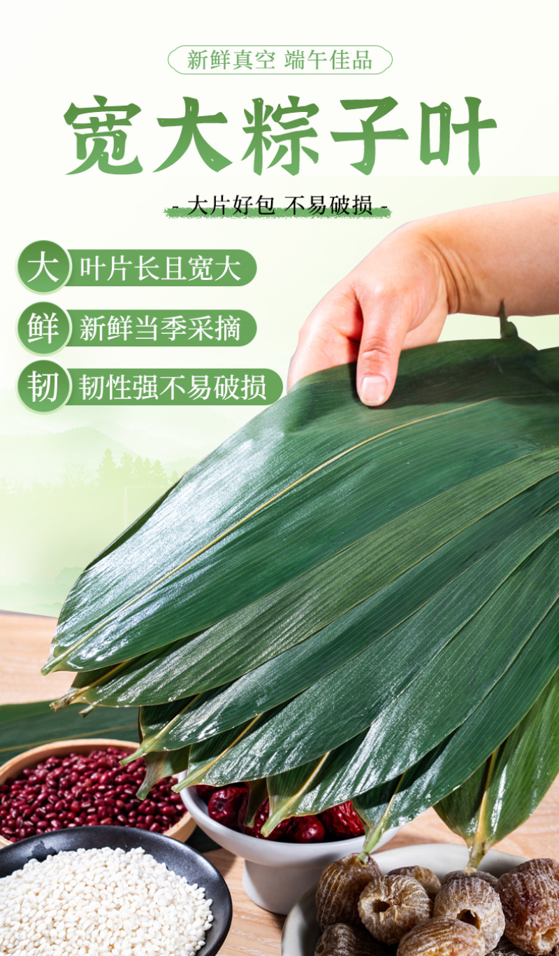真空粽叶新鲜保存粽叶粽子酒店餐饮免泡