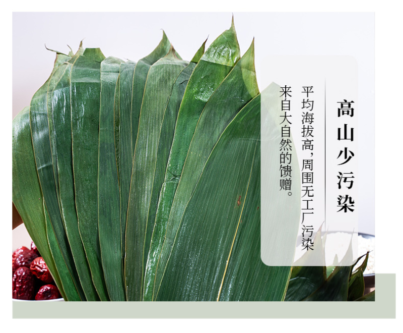 真空粽叶新鲜保存粽叶粽子酒店餐饮免泡