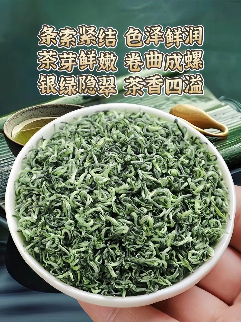 苏州东山明前碧螺春新茶叶采摘选购原产地生产批发销售价格