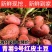 （云南土豆）青薯9号土豆丶实验1号土豆丶品种规格齐全