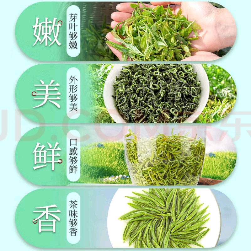 明前碧螺春新茶叶采摘选购原产地生产批发销售价格苏州东山