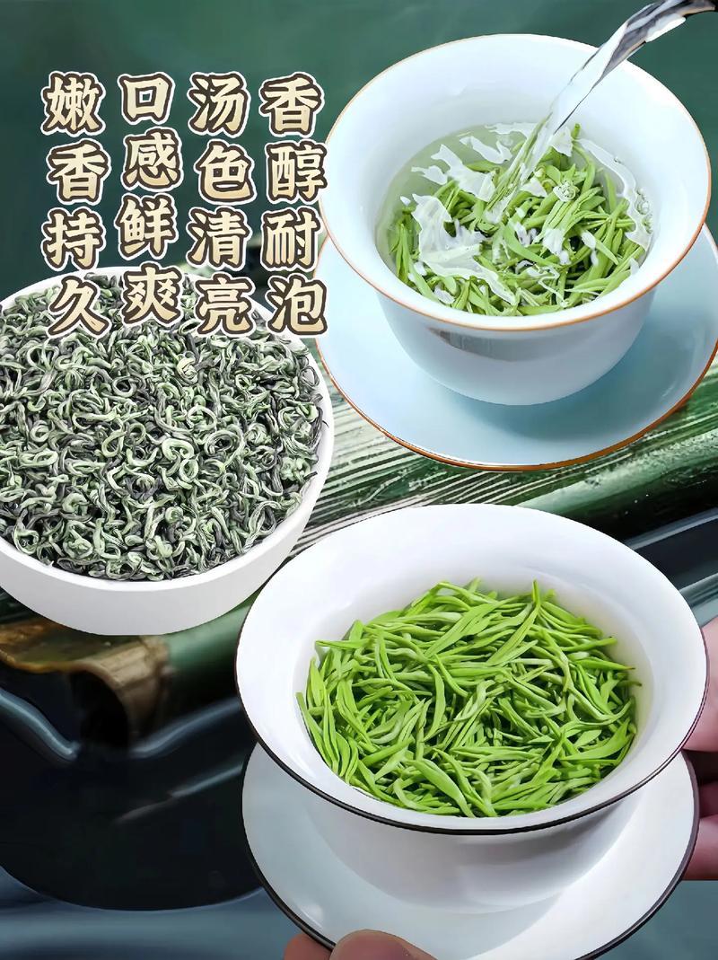 明前碧螺春新茶叶采摘选购原产地生产批发销售价格苏州东山