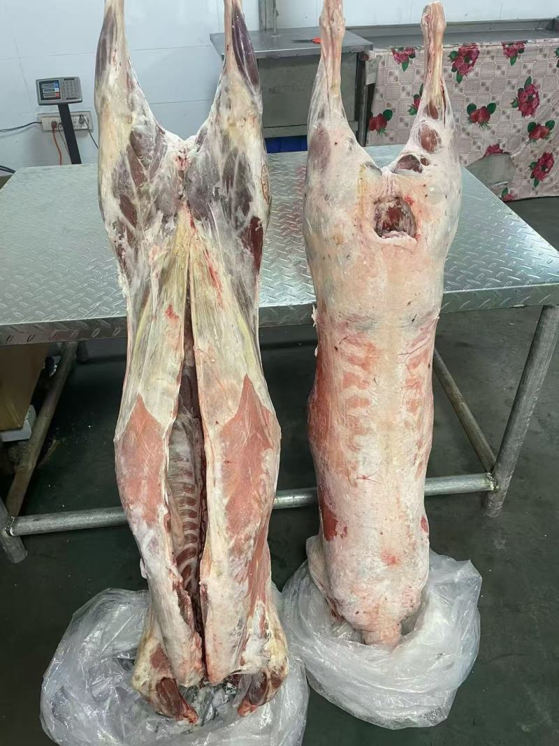 内蒙古精品羊肉/羔羊白条羊/保质保量/量大从优/欢迎下单