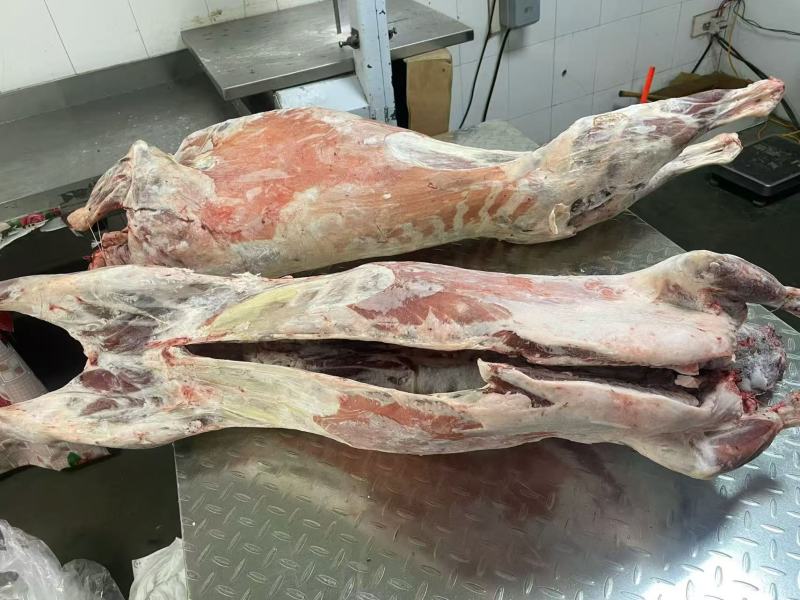 内蒙古精品羊肉/羔羊白条羊/保质保量/量大从优/欢迎下单