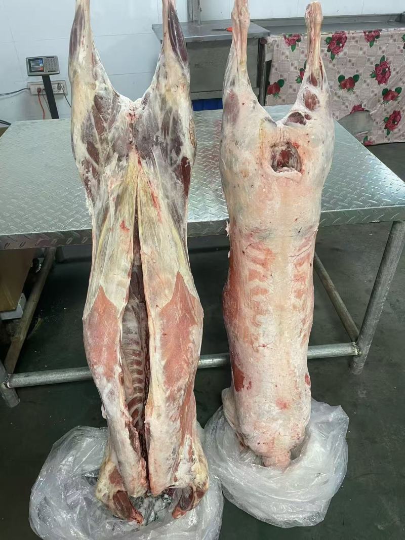 内蒙古精品羊肉/羔羊白条羊/保质保量/量大从优/欢迎下单