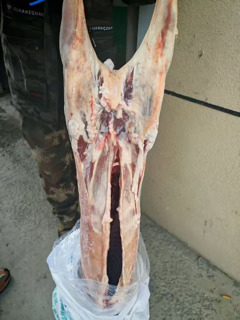 内蒙古精品羊肉/羔羊白条羊/保质保量/量大从优/欢迎下单