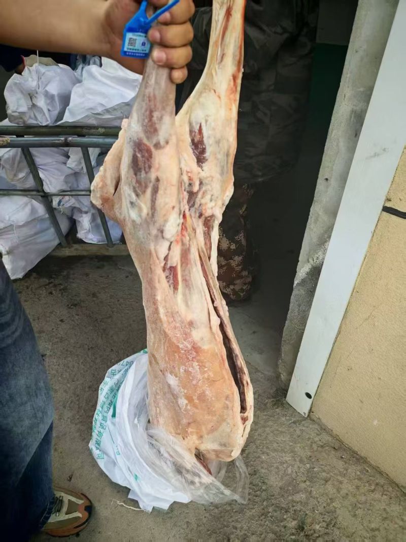 内蒙古精品羊肉/羔羊白条羊/保质保量/量大从优/欢迎下单