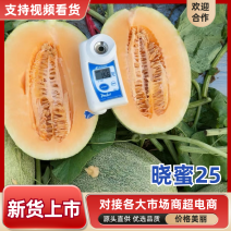 海南哈密瓜西州蜜（晓蜜25）2.5-6斤，脆甜爽口