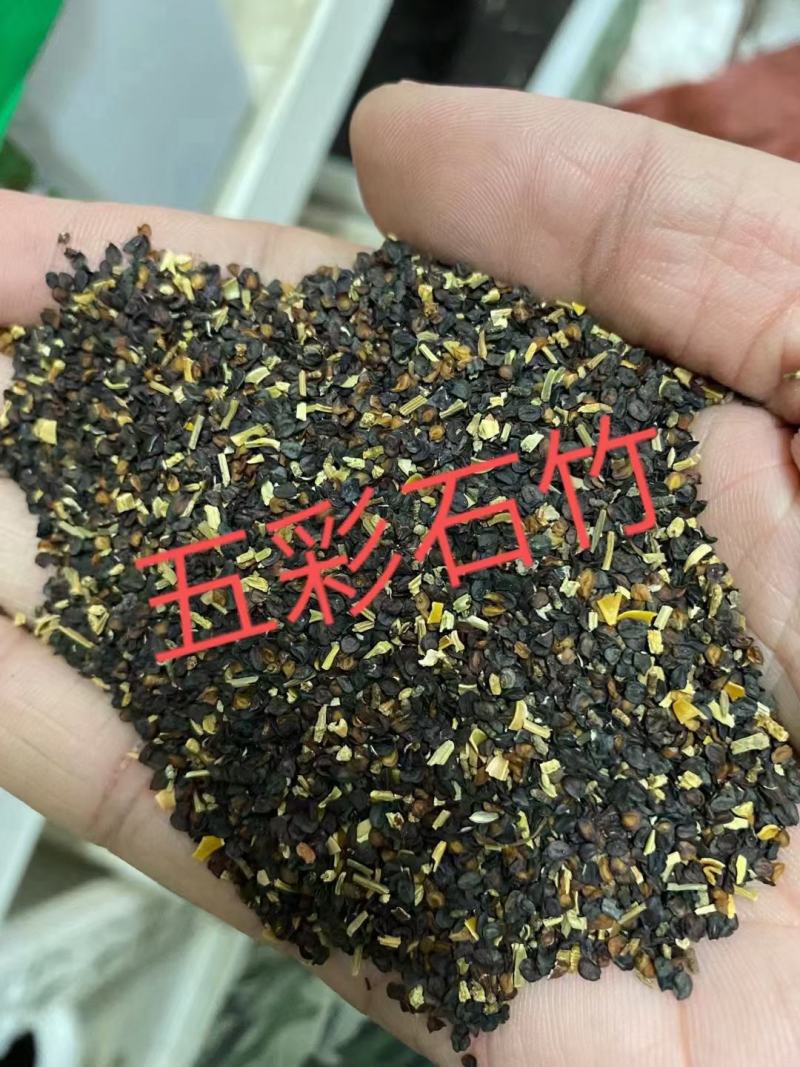 混色五彩石竹种子四季盆栽室外花卉四季开花庭院常夏石竹种