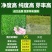 高羊茅进口草坪种子四季青耐寒耐旱耐踏庭院绿化护坡草种