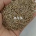 高羊茅进口草坪种子四季青耐寒耐旱耐踏庭院绿化护坡草种