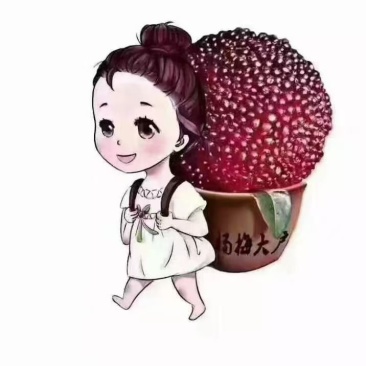 乌紫杨梅苏州东山原产品货源厂家批发优质供应选购