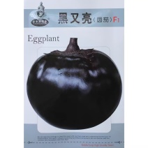 黑又亮圆茄种子杂交中早熟黑圆茄子种籽果大肉多紫黑发亮耐热