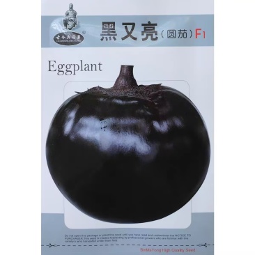 黑又亮圆茄种子杂交中早熟黑圆茄子种籽果大肉多紫黑发亮耐热