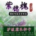 紫穗槐种子紫槐棉槐椒条多年生绿肥牧草蜜源护坡绿化灌木槐
