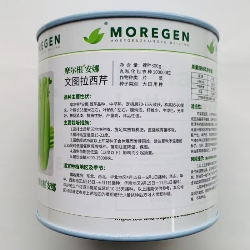 摩尔根安娜丸粒化包衣文图拉西芹种子中早熟腹沟浅产量高