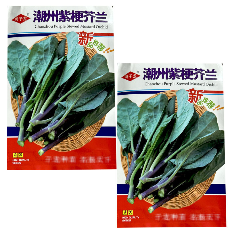 潮州紫梗芥兰种子早熟红脚菜苔菜心耐寒春秋四季种植