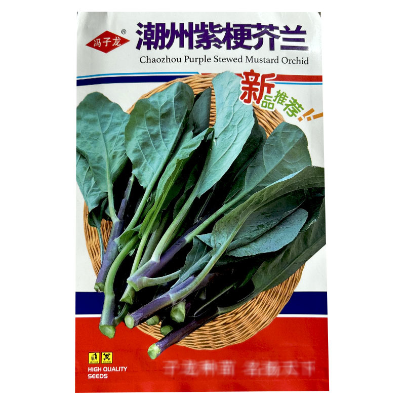 潮州紫梗芥兰种子早熟红脚菜苔菜心耐寒春秋四季种植