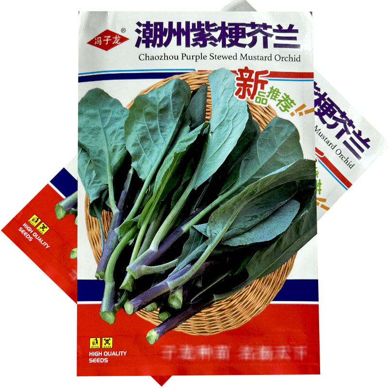潮州紫梗芥兰种子早熟红脚菜苔菜心耐寒春秋四季种植