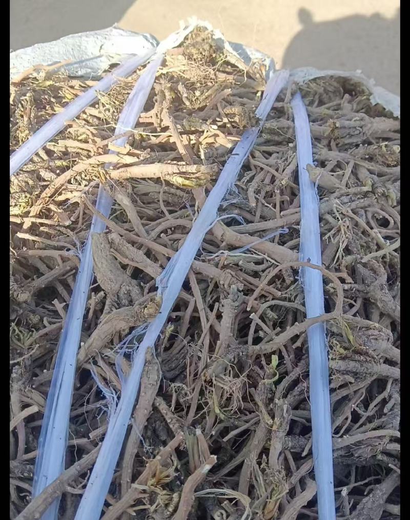 推荐】甘肃北柴胡一手货批发柴胡根含量高自然晒干柴胡条