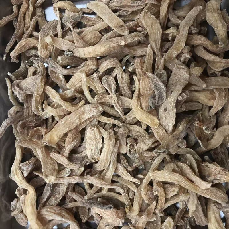 虫草天麻云南昭通小草坝小天麻种子码虫草天麻批发代发