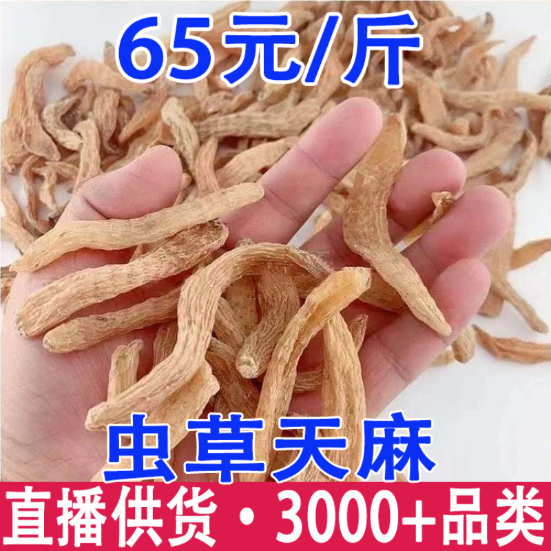 虫草天麻云南昭通小草坝小天麻种子码虫草天麻批发代发