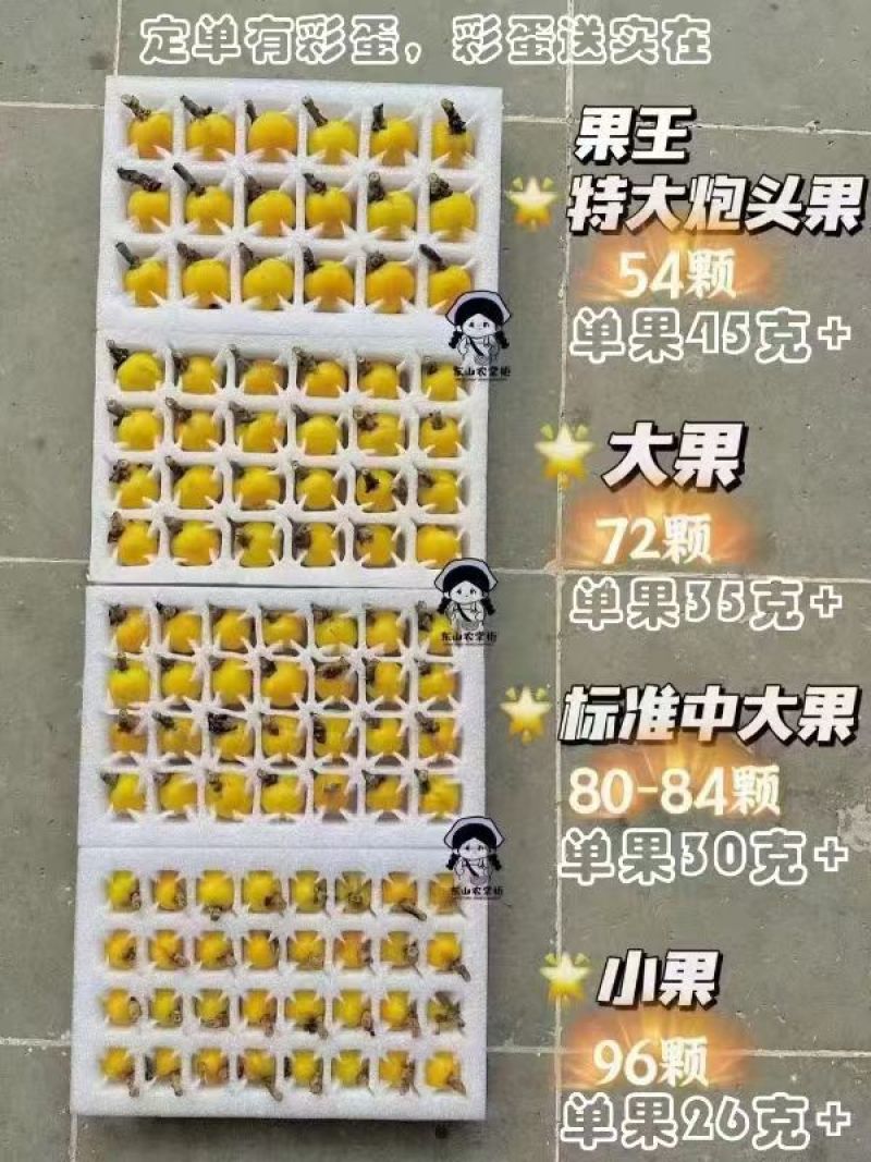 东西山青种枇原产地供应商厂家采摘生产批发直销价格优惠