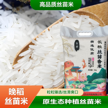【精品】广西贺州丝苗香米真空包装原生态种植10斤