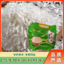 【精品】软香丝苗米当季新米猫牙米长粒香米5斤