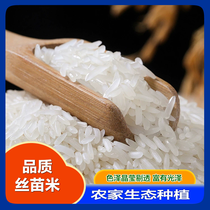 【精品】软香丝苗米当季新米猫牙米长粒香米10斤